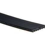 Order Serpentine Belt by ACDELCO - 7K721 For Your Vehicle