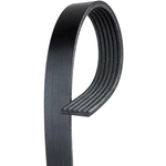 Order ACDELCO PROFESSIONAL - 6K1025 - Standard V-Ribbed Serpentine Belt For Your Vehicle