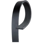 Order ACDELCO PROFESSIONAL - 6K544 - V-Ribbed Serpentine Belt For Your Vehicle
