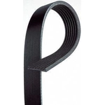 Order Serpentine Belt by ACDELCO PROFESSIONAL - 7K610 For Your Vehicle