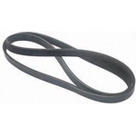 Order Serpentine Belt by AUTO 7 - 300-0016 For Your Vehicle