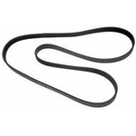 Order Serpentine Belt by AUTO 7 - 301-0660 For Your Vehicle