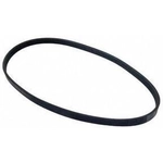 Order Serpentine Belt by AUTO 7 - 301-1148 For Your Vehicle
