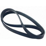 Order Serpentine Belt by AUTO 7 - 301-1150 For Your Vehicle