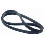 Order Serpentine Belt by AUTO 7 - 301-1151 For Your Vehicle
