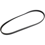 Order AUTO 7 - 301-1152 - Serpentine Belt For Your Vehicle