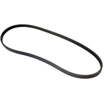 Order AUTO 7 - 301-1157 - Serpentine Belt For Your Vehicle