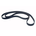 Order AUTO 7 - 301-1169 - Serpentine Belt For Your Vehicle