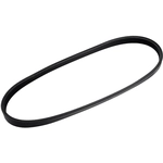 Order AUTO 7 - 301-1173 - Serpentine Belt For Your Vehicle