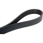 Order Serpentine Belt by CONTINENTAL - 1102K8MK For Your Vehicle