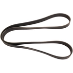 Order CONTINENTAL - 1261K8MK - Mileage Maker Multi V-Belt For Your Vehicle