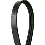 Order CONTINENTAL - 195K3SMK - Mileage Maker Multi-V Elastic Belt For Your Vehicle