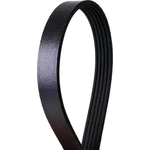 Order CONTINENTAL - 272K5SMK - Mileage Maker Multi-V Elastic Belt For Your Vehicle
