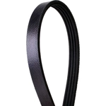 Order Courroie serpentine de CONTINENTAL - 317K4SMK For Your Vehicle