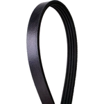 Order CONTINENTAL - 319K4MK - Mileage Maker Multi-V Belt For Your Vehicle