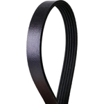 Order Serpentine Belt by CONTINENTAL - 350K5MK For Your Vehicle