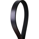 Order CONTINENTAL - 395K5MK - Mileage Maker Multi-V Belt For Your Vehicle