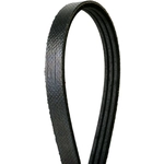 Order CONTINENTAL - 4030330S - Multi-V Elastic Belt For Your Vehicle