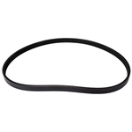 Order CONTINENTAL - 4040373S - Serpentine Belt - Automotive V-Belt For Your Vehicle