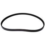 Order CONTINENTAL - 4040433 - Serpentine Belt - Automotive V-Belt For Your Vehicle