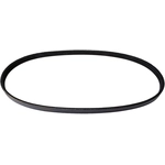 Order CONTINENTAL - 4050515 - Serpentine Belt For Your Vehicle