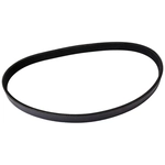 Order CONTINENTAL - 4050635 - Serpentine Belt - Automotive V-Belt For Your Vehicle