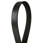 Order CONTINENTAL - 4060317S - Courroie serpentine - Automotive V-Belt For Your Vehicle