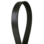 Order CONTINENTAL - 4060348S - Courroie serpentine - Automotive V-Belt For Your Vehicle