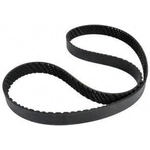 Order CONTINENTAL - 4060585 - Serpentine Belt - Automotive V-Belt For Your Vehicle