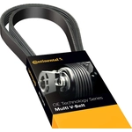 Order CONTINENTAL - 4060878 - Multi-V Belt For Your Vehicle