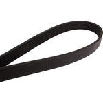 Order Serpentine Belt by CONTINENTAL - 4061003 For Your Vehicle