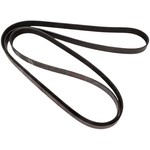 Order CONTINENTAL - 4070880 - Serpentine Belt - Automotive V-Belt For Your Vehicle