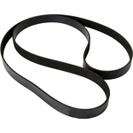 Order CONTINENTAL - 4071065 - Multi-V Belt For Your Vehicle