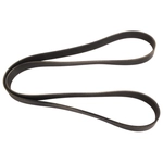 Order CONTINENTAL - 4080435 - Serpentine Belt - Automotive V-Belt For Your Vehicle