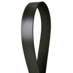 Order CONTINENTAL - 4080535 - Serpentine Belt - Automotive V- Belt For Your Vehicle