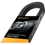Order Serpentine Belt by CONTINENTAL - 4080805 For Your Vehicle