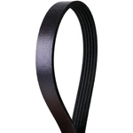 Order CONTINENTAL - 420K5MK - V Belt For Your Vehicle