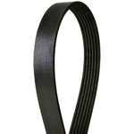 Order CONTINENTAL - 433K6MK - Mileage Maker Multi V-Belt For Your Vehicle