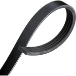 Order Serpentine Belt by CONTINENTAL - 435K4MK For Your Vehicle
