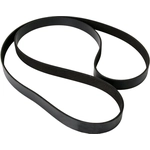 Order Courroie serpentine de CONTINENTAL - 443K7MK For Your Vehicle