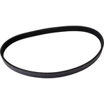 Order CONTINENTAL - 448K5MK - Mileage Maker V Belt For Your Vehicle
