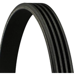 Order CONTINENTAL - 4PK1006 - V-Ribbed Belt For Your Vehicle