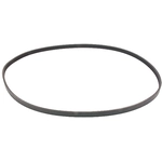 Order CONTINENTAL - 4PK1210 - Courroie serpentine For Your Vehicle