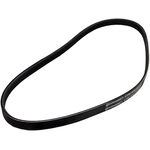 Order CONTINENTAL - 4PK815 - Serpentine Belt For Your Vehicle