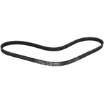 Order CONTINENTAL - 4PK825 - Serpentine Belt For Your Vehicle