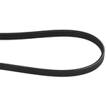 Order CONTINENTAL - 4PK841 - V-Ribbed Belt For Your Vehicle