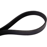 Order Serpentine Belt by CONTINENTAL - 500K5MK For Your Vehicle