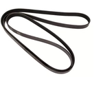 Order CONTINENTAL - 505K6MK - Serpentine Belt For Your Vehicle