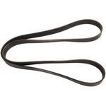 Order CONTINENTAL - 582K8MK - Serpentine Belt For Your Vehicle