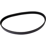 Order CONTINENTAL - 5PK1110 - Metric Multi V-Belt For Your Vehicle